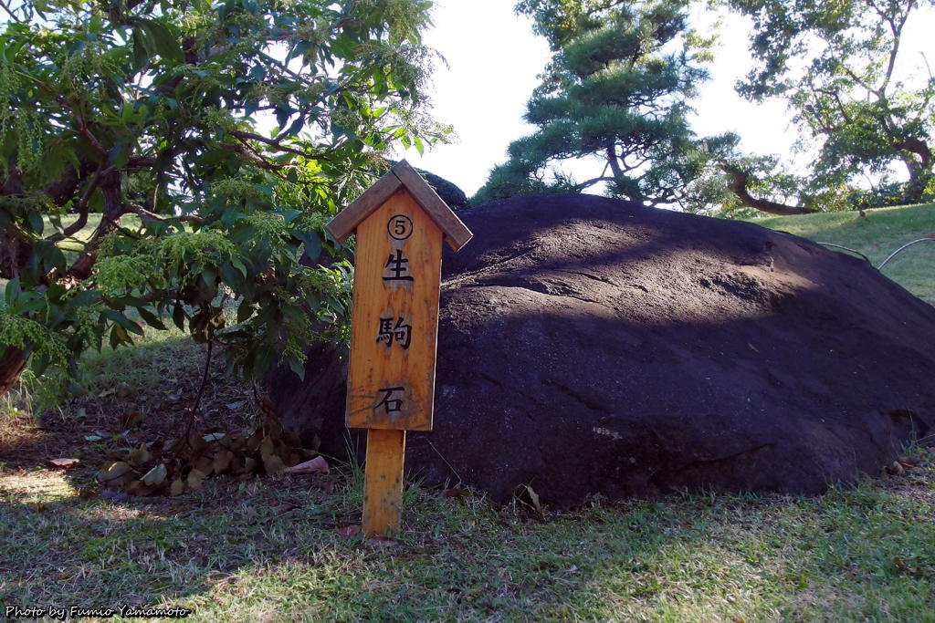 清澄庭園にて　その５