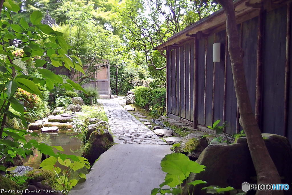 梅雨の晴れ間の宝泉院(再) その１