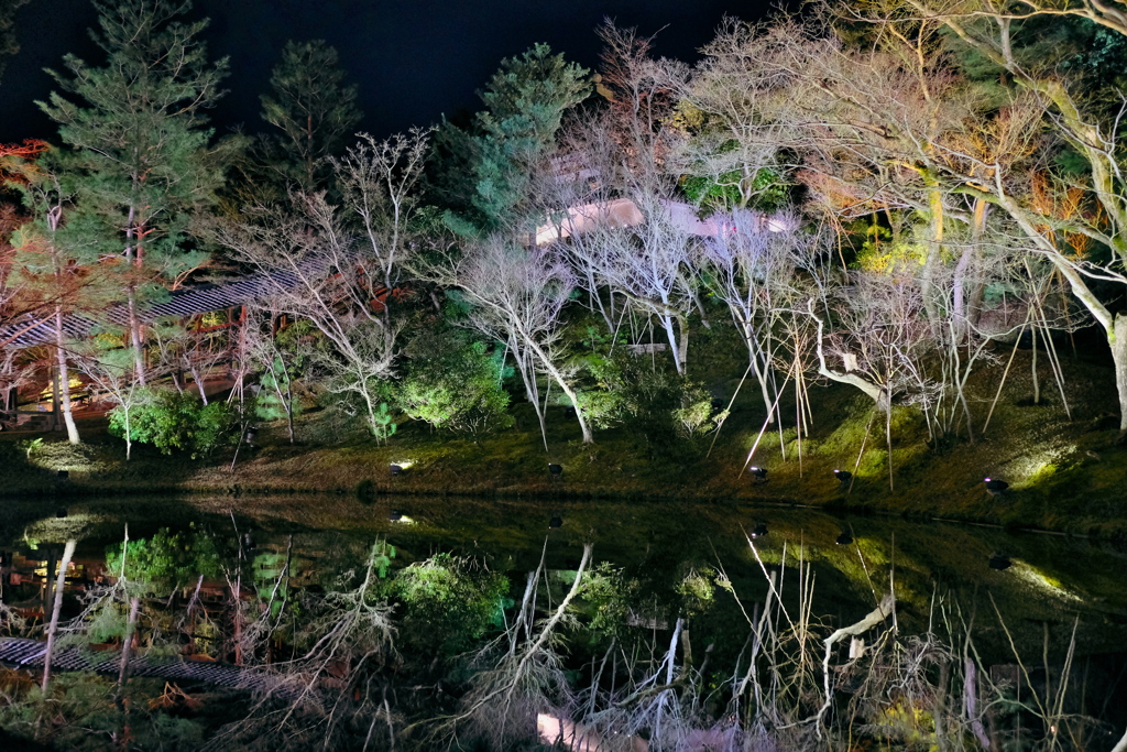 東山花灯路 2019 蔵出し　その４