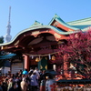 亀戸天神 ２０２０年 如月 その１