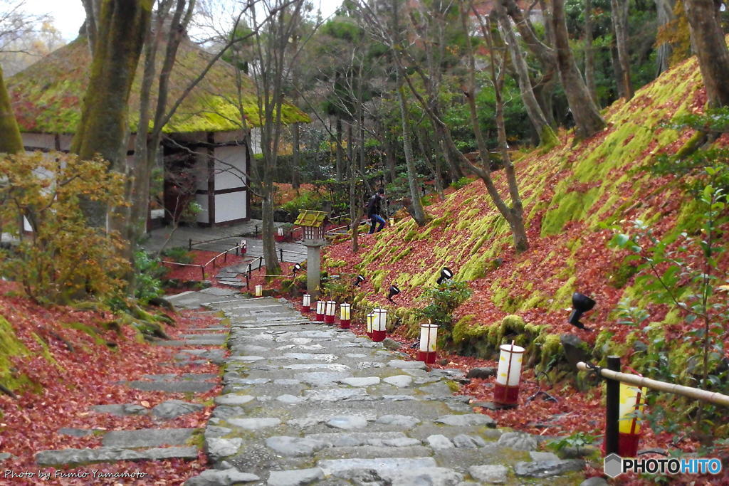 天気雨の常寂光寺　その５