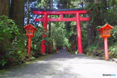 箱根神社にて　その２