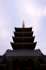 浅草　２０１９迎春　その１１