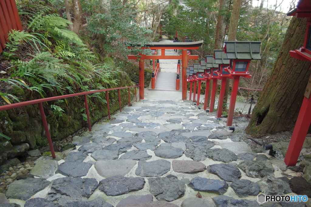 寒気が接近中・・・ 　その１５