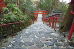 寒気が接近中・・・ 　その１５