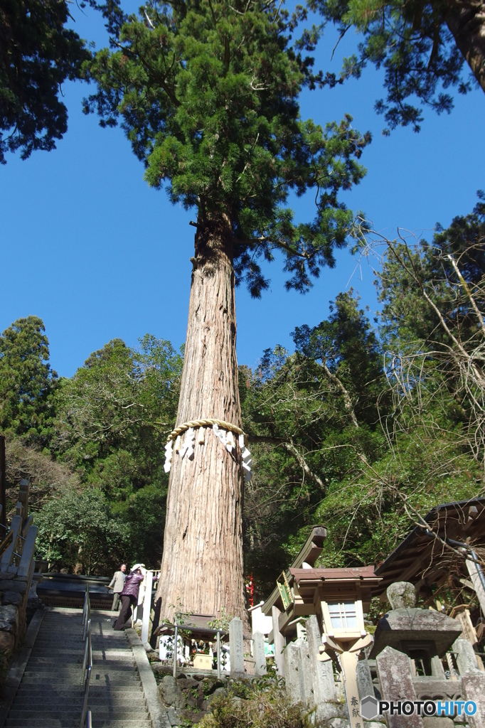 鞍馬山登山っ!!　その４