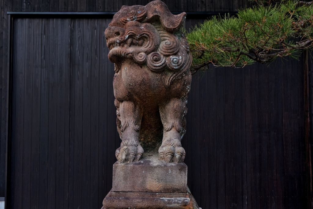 大将軍八神社 2019 師走 その１