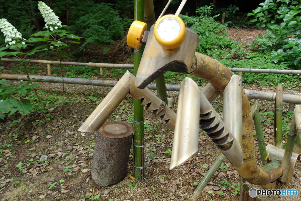 裏鬼門のカマキリ　その２