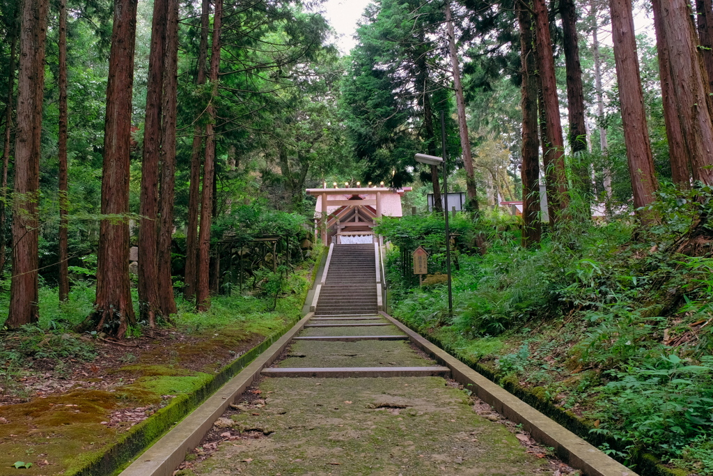 奥宮・眞名井神社 2020 文月 その５