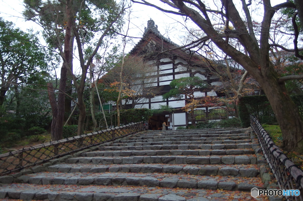 寒気が接近中・・・ 　その８