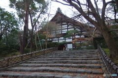 寒気が接近中・・・ 　その８