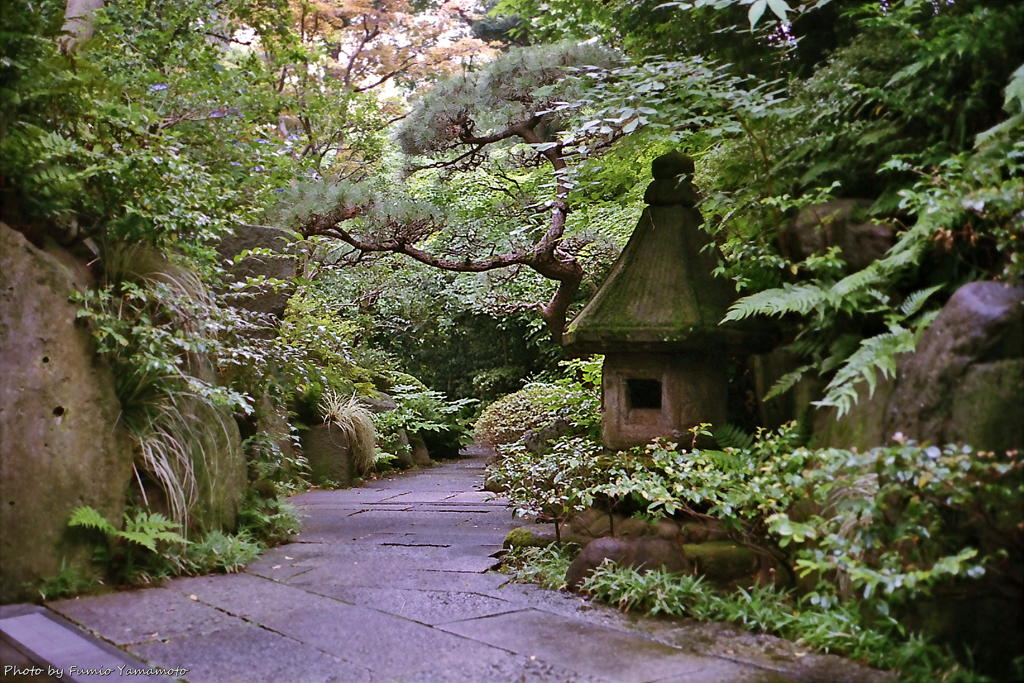 ご隠居(Nikon SP)の試写(根津美術館編)　その1１