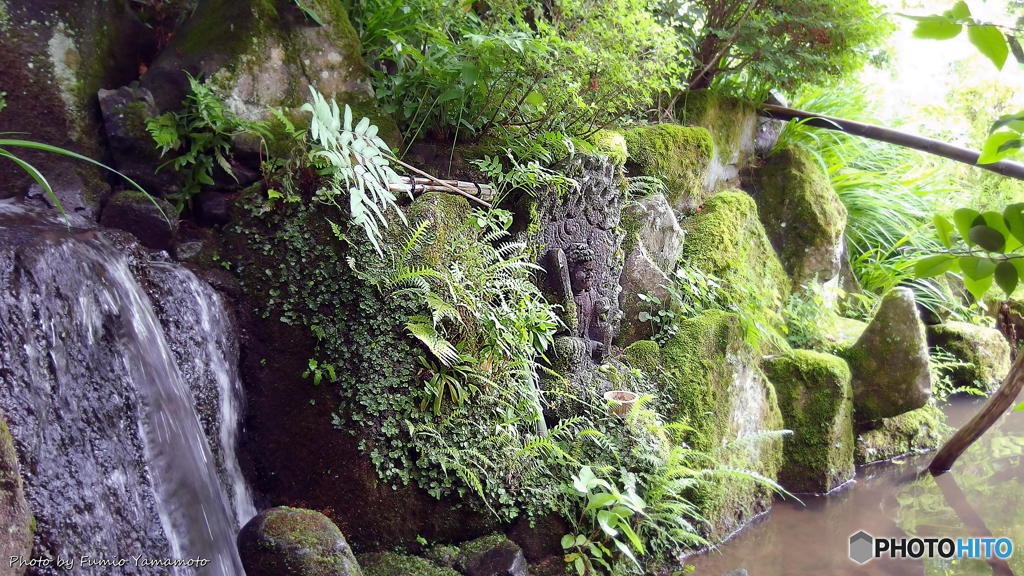 梅雨の晴れ間の宝泉院(再) その５