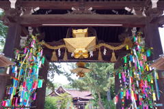 盛夏の北野天満宮　その５