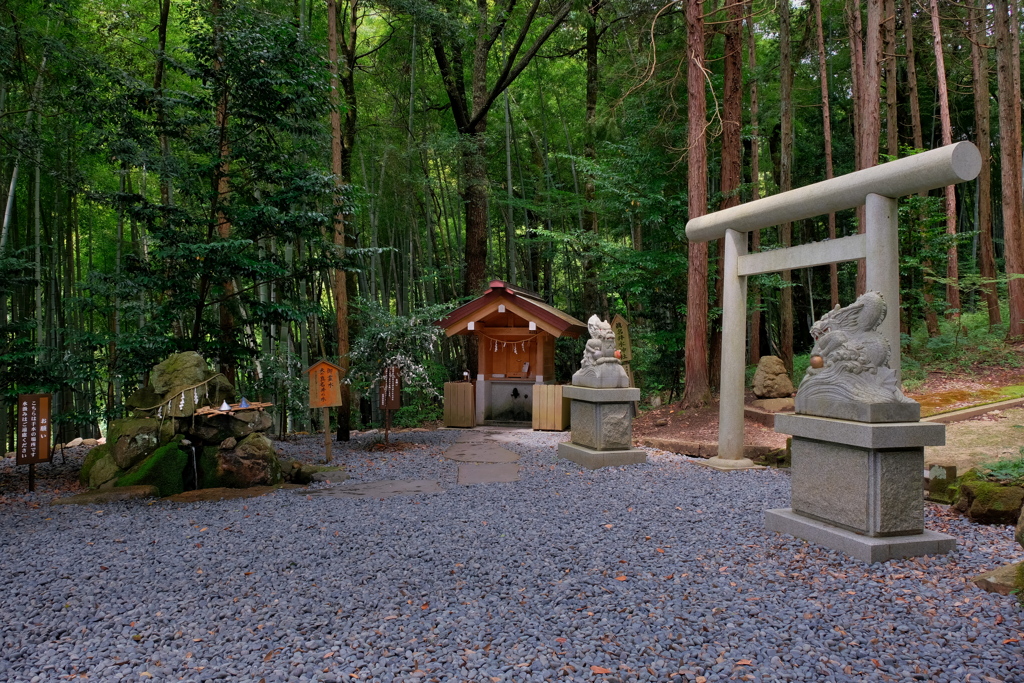 奥宮・眞名井神社 2020 文月 その３