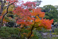 旧安田庭園にて　その２