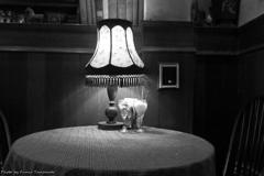 Antique Pizza House その1３