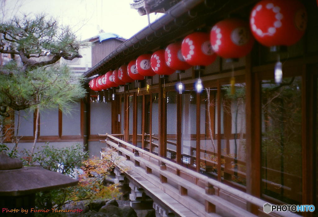 ご隠居(Nikon SP)の試写　その24