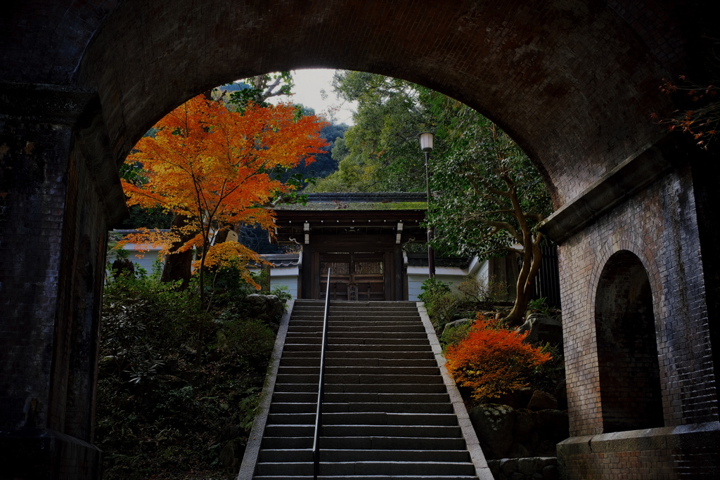 水路閣 2019 師走 その１