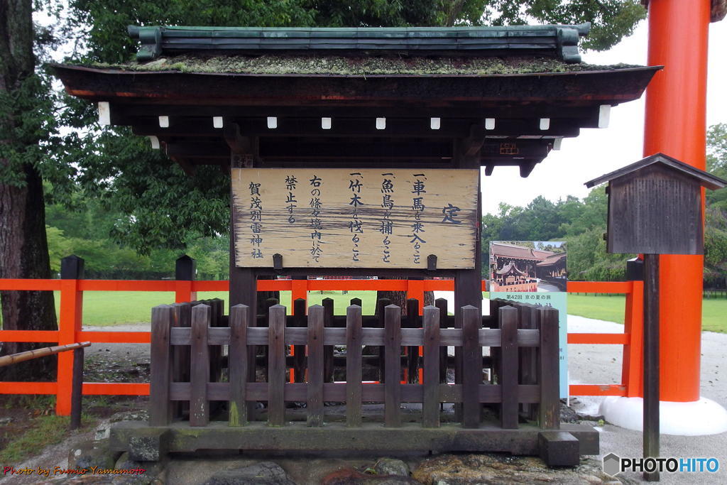 雨の上賀茂神社にて　その２