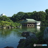 清澄庭園にて　その４