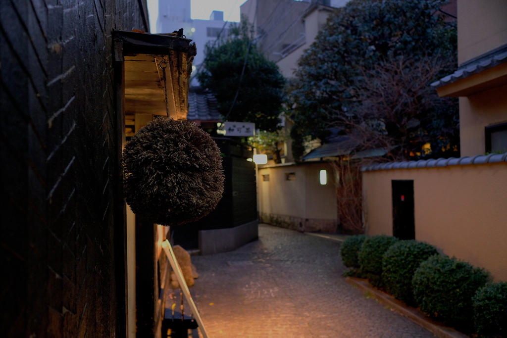 神楽坂　２０１９睦月　その１０