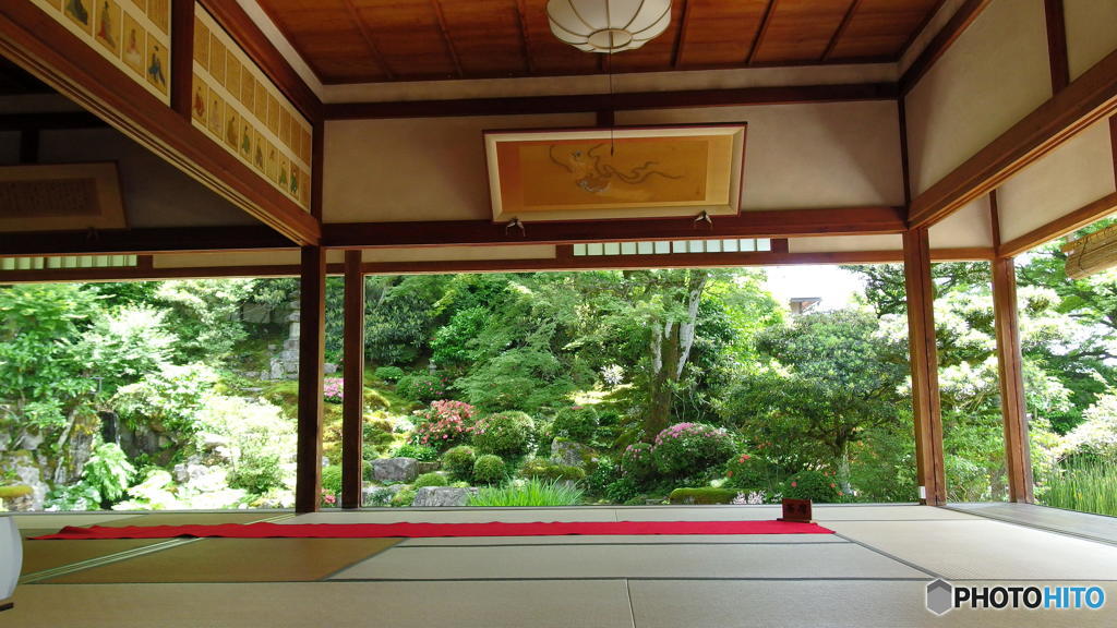 梅雨の晴れ間の実光院　その２