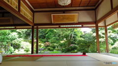 梅雨の晴れ間の実光院　その２