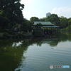 清澄庭園にて　その２