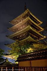 東山花灯路 2019 その２