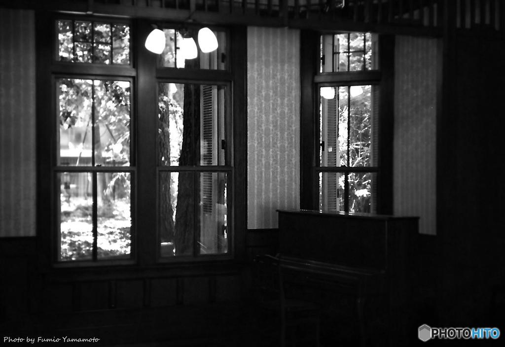 ご隠居(Nikon SP)の試写(市川市 木内ギャラリー編)　その５