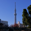 亀戸天神 ２０２０年 如月 その４