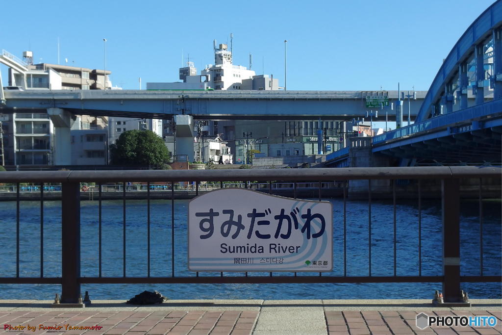 新春の浅草　その６