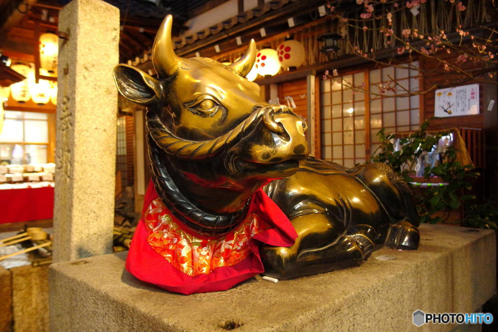 早春の新京極にて　その５