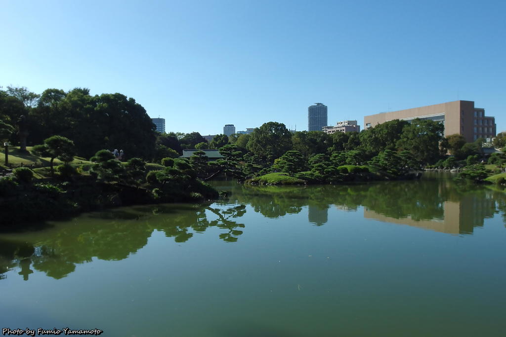 清澄庭園にて　その４