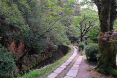 盛夏の哲学の道　2019 文月 その３