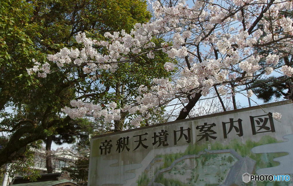 柴又散歩　その２０