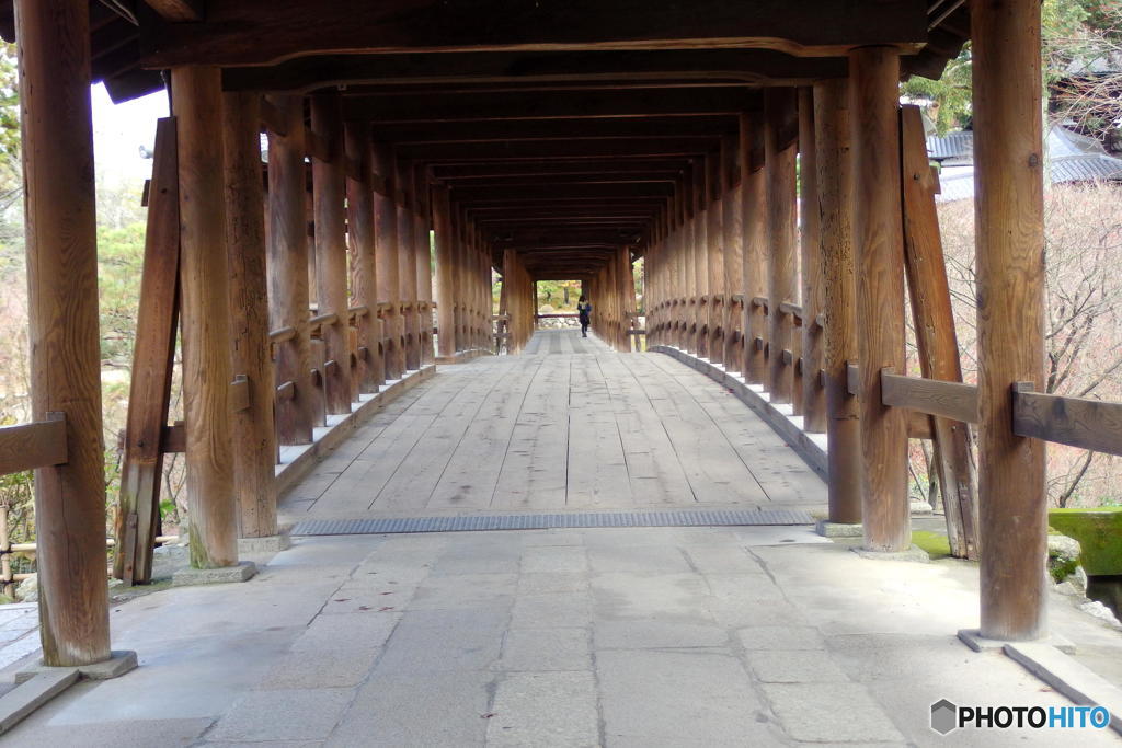 燃えつきかけた秋･･･　その4