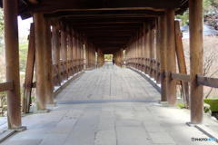 燃えつきかけた秋･･･　その4