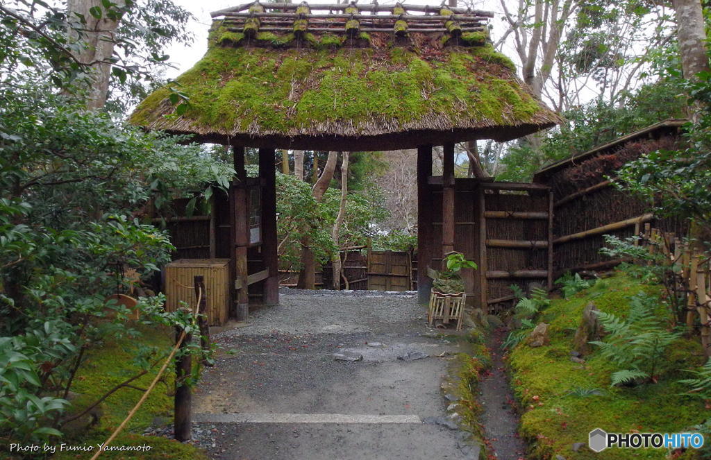 師走の嵯峨野にて　その４(祇王寺)