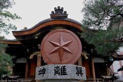 早春の大将軍八神社 2019 その５