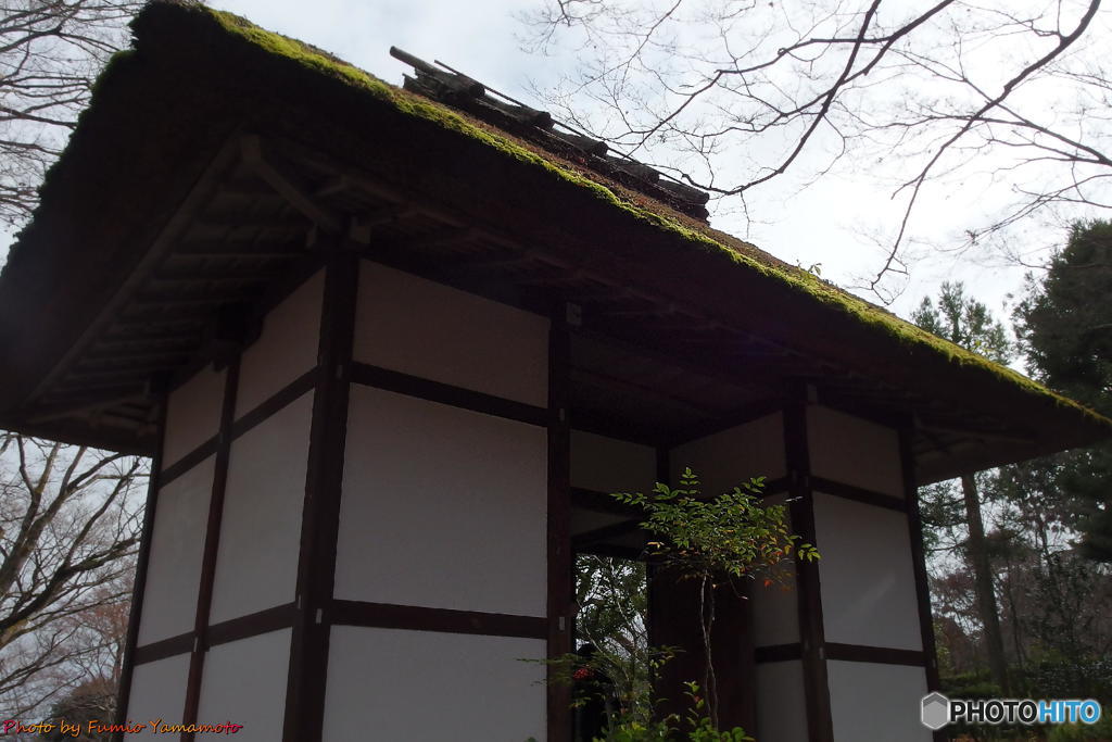 天気雨の常寂光寺　その２