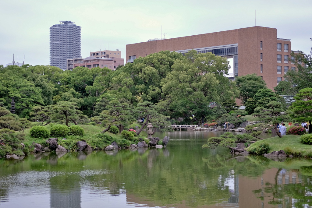 清澄庭園 ２０１９水無月 その１