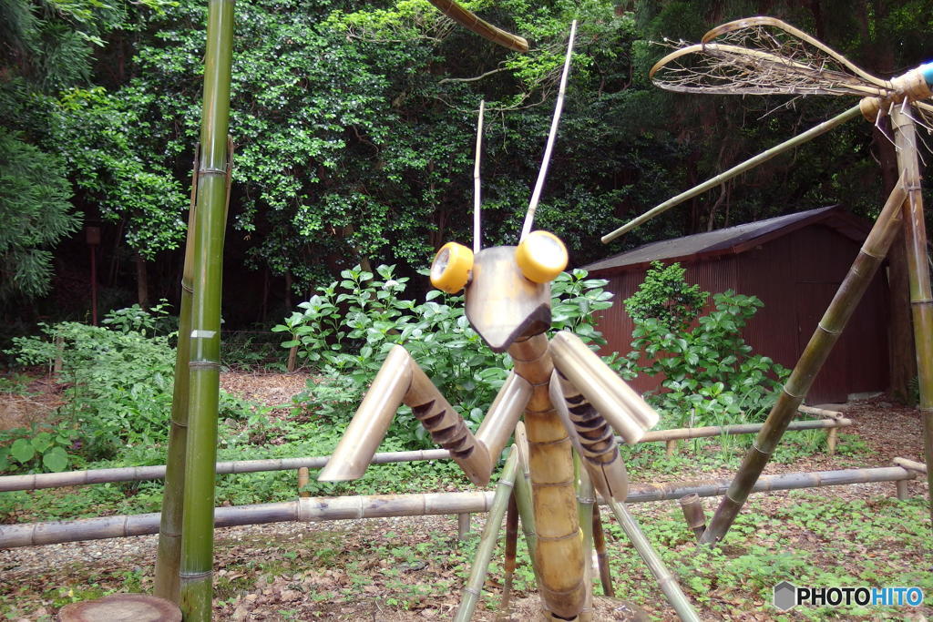 裏鬼門のカマキリ　その１