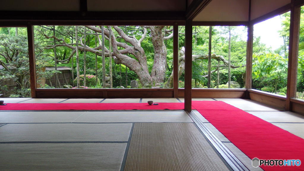 梅雨の晴れ間の宝泉院　その４