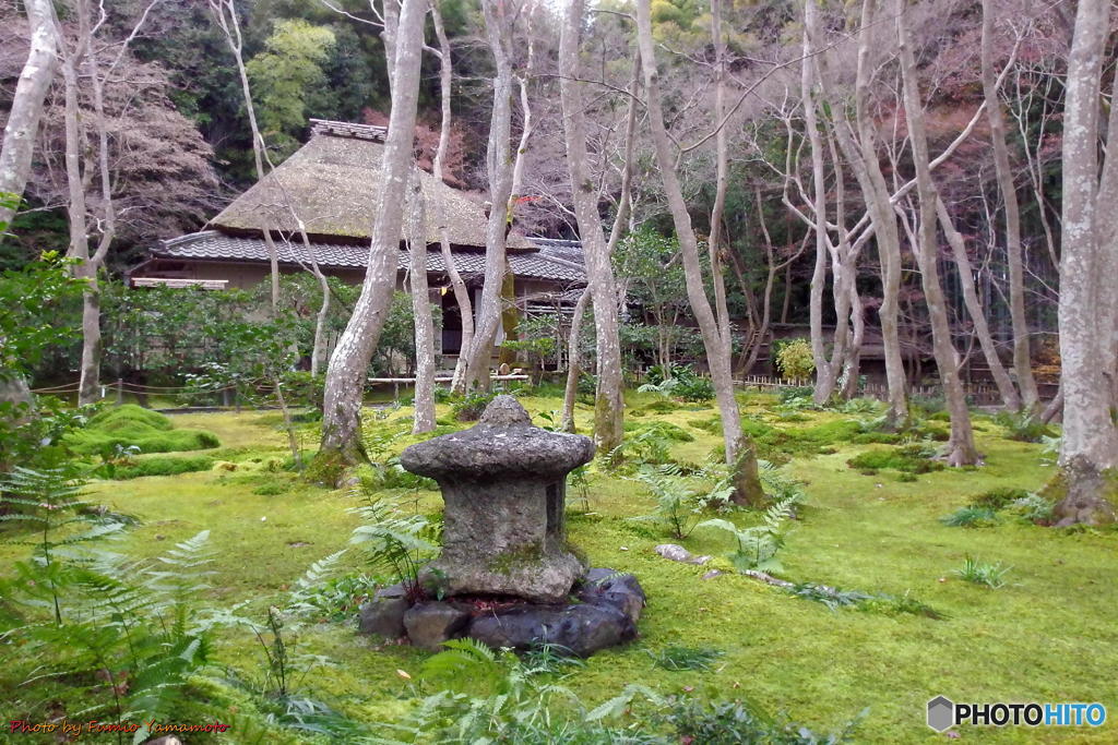 師走の嵯峨野にて　その5(祇王寺)