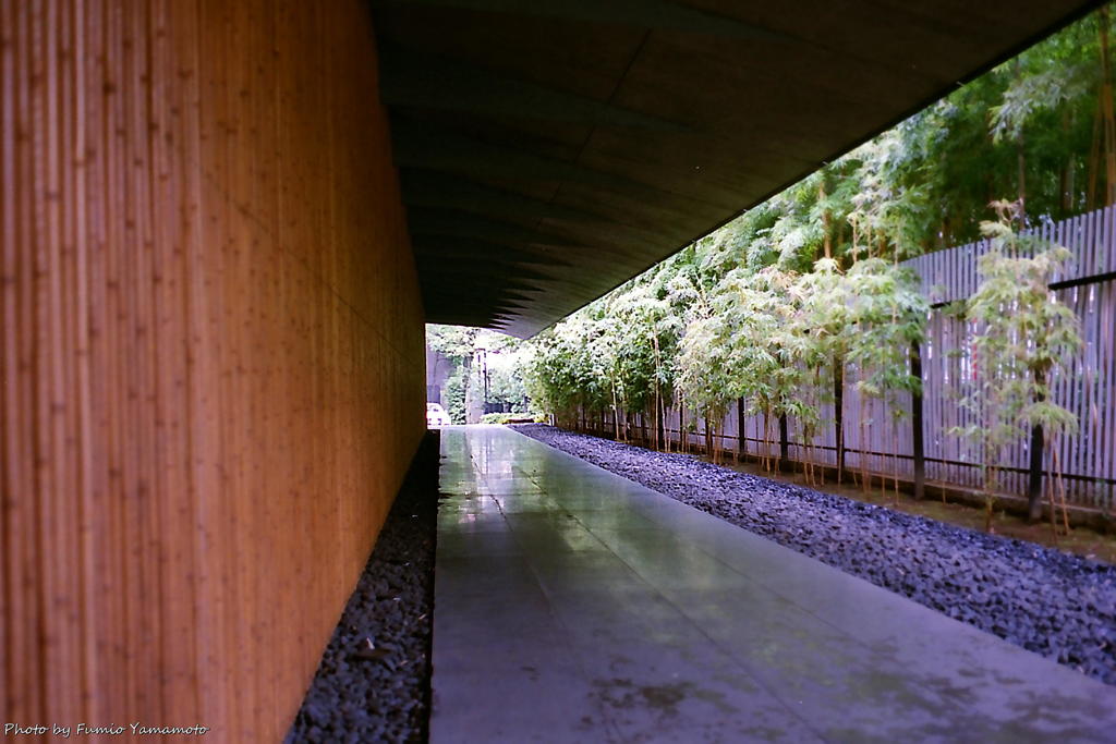 ご隠居(Nikon SP)の試写(根津美術館編)　その２