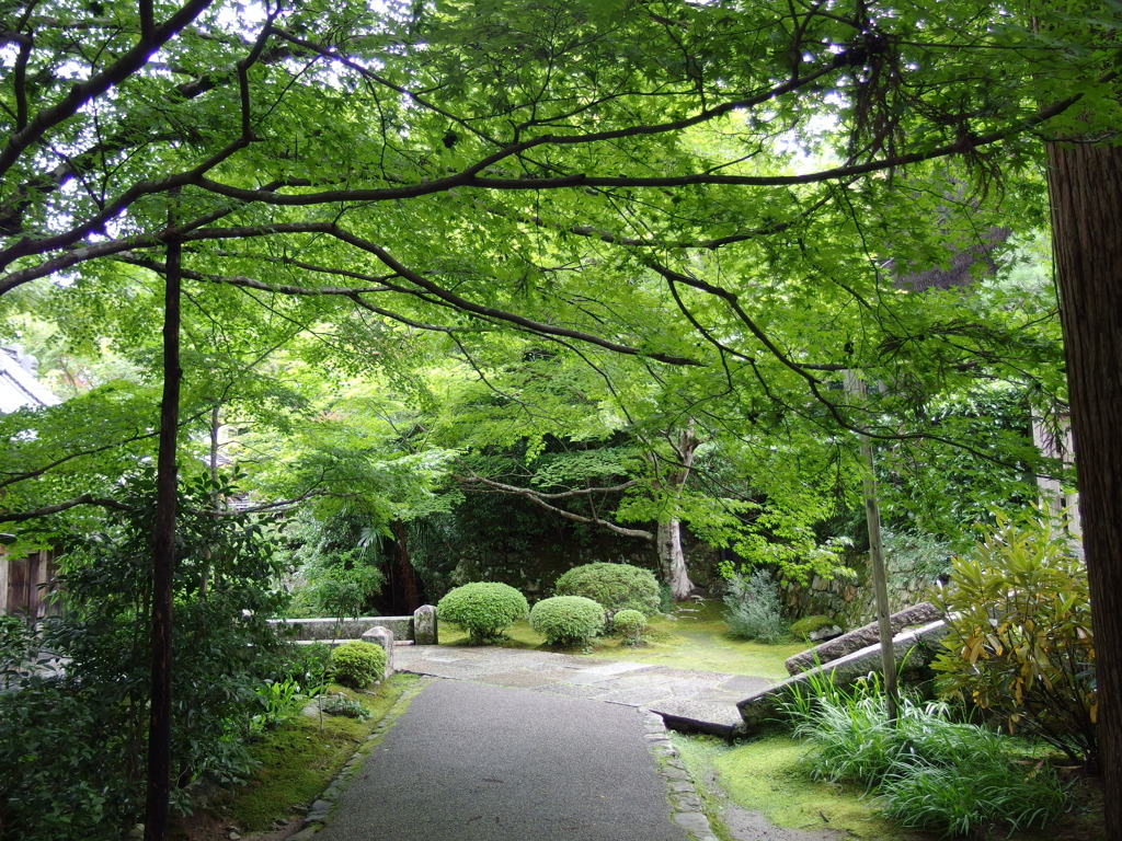 宝泉院　その6