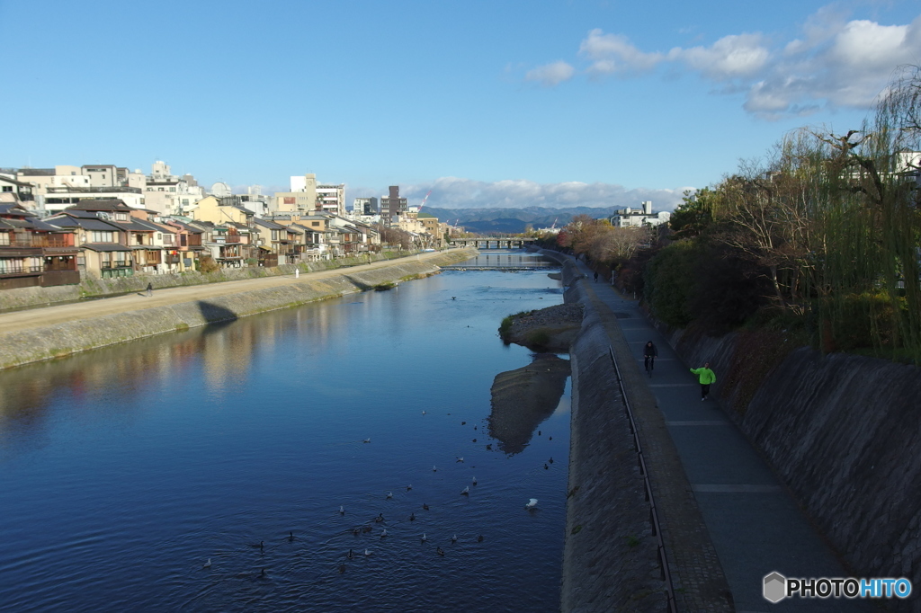 鴨川の朝・・・　寒い！ (-o-;)