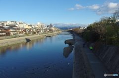 鴨川の朝・・・　寒い！ (-o-;)